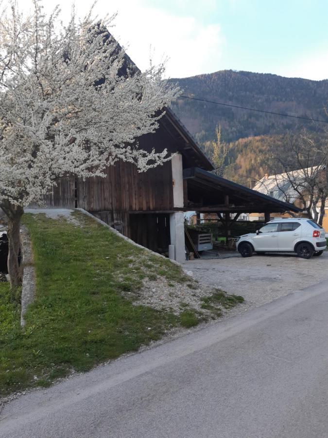 Alpska Roza Apartment Kranjska Gora Ngoại thất bức ảnh