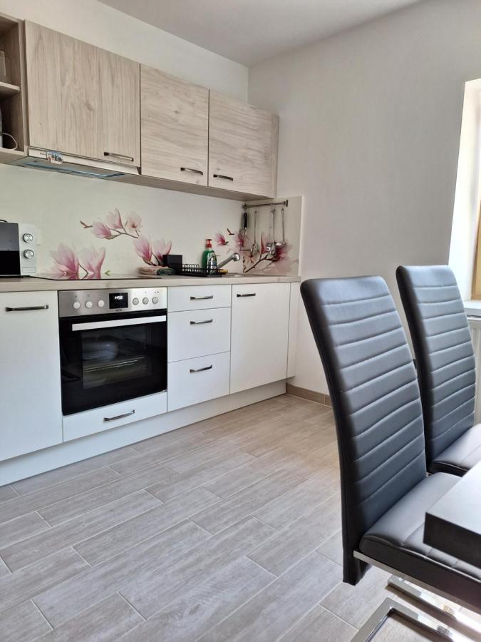 Alpska Roza Apartment Kranjska Gora Ngoại thất bức ảnh
