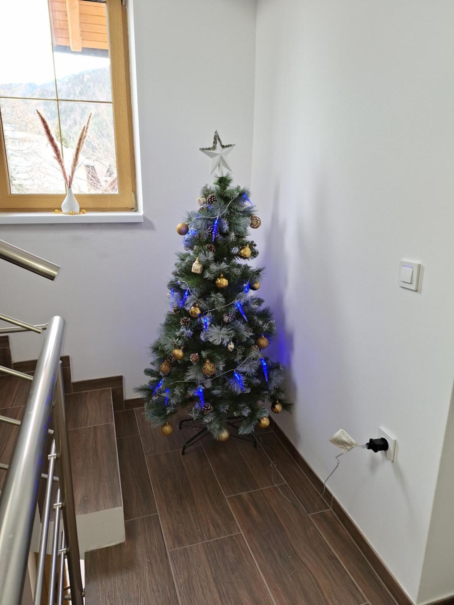 Alpska Roza Apartment Kranjska Gora Ngoại thất bức ảnh