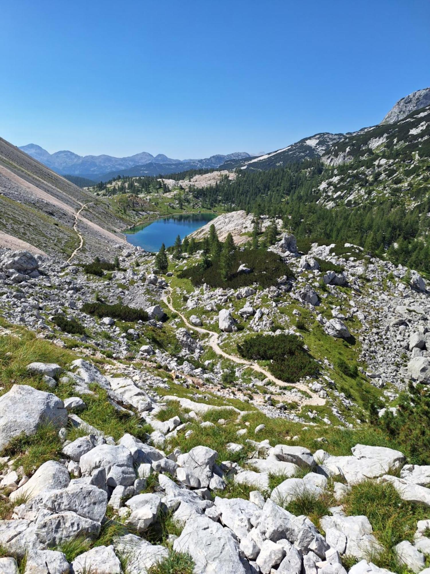 Alpska Roza Apartment Kranjska Gora Ngoại thất bức ảnh